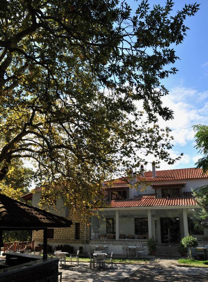 Κonitsa Gefyri Hotel โคนิทซา ภายนอก รูปภาพ